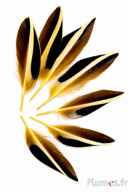Ente Madagaskar - 12-14 cm - gelb